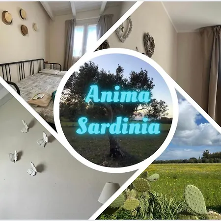 Anima Sardinia *