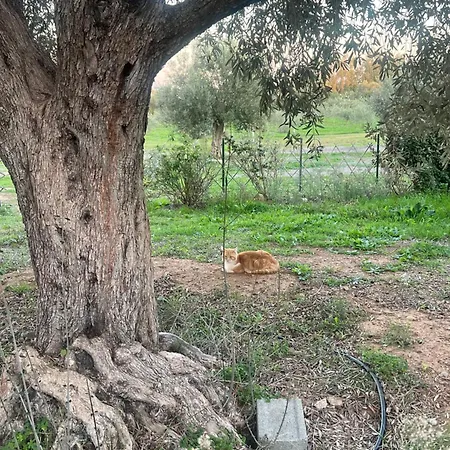 Privat bolig Anima Sardinia