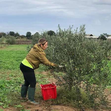 Privat bolig Anima Sardinia