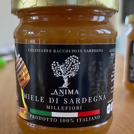 Anima Sardinia *